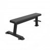 FLAT BENCH PROUD CHAMPION