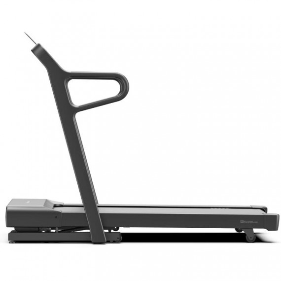 BIEŻNIA MECHANICZNA TM2450F